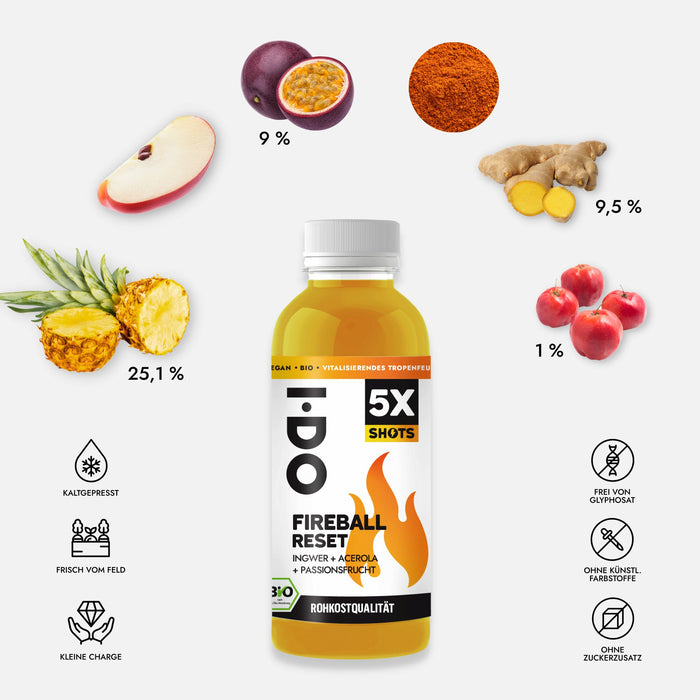 6 Bio Ingwer Maxishots mit Ingwer, Ananas, Acerola und Maracuja - Rohkostqualität · Kaltgepresst · Nie erhitzt - Green Shopping Days
