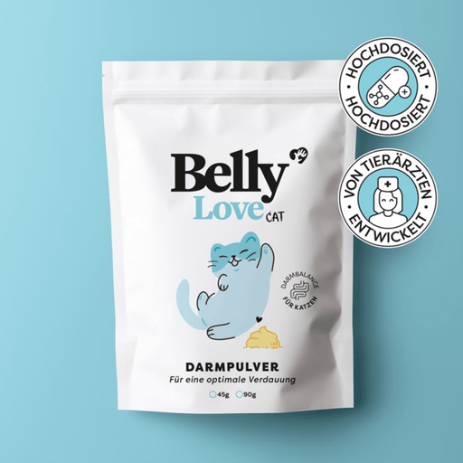 BellyLove Cat | Dr. SAM - Green Shopping Days