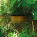 Hangpflanzschale COLLINA Corten - Green Shopping Days