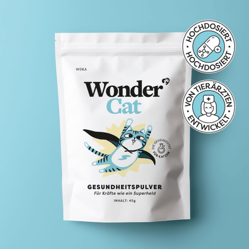 Wondercat | Dr. SAM - Green Shopping Days