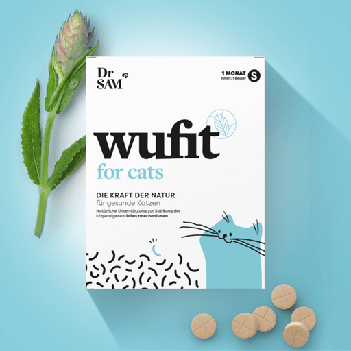 wufit Cat | Dr. SAM - Green Shopping Days